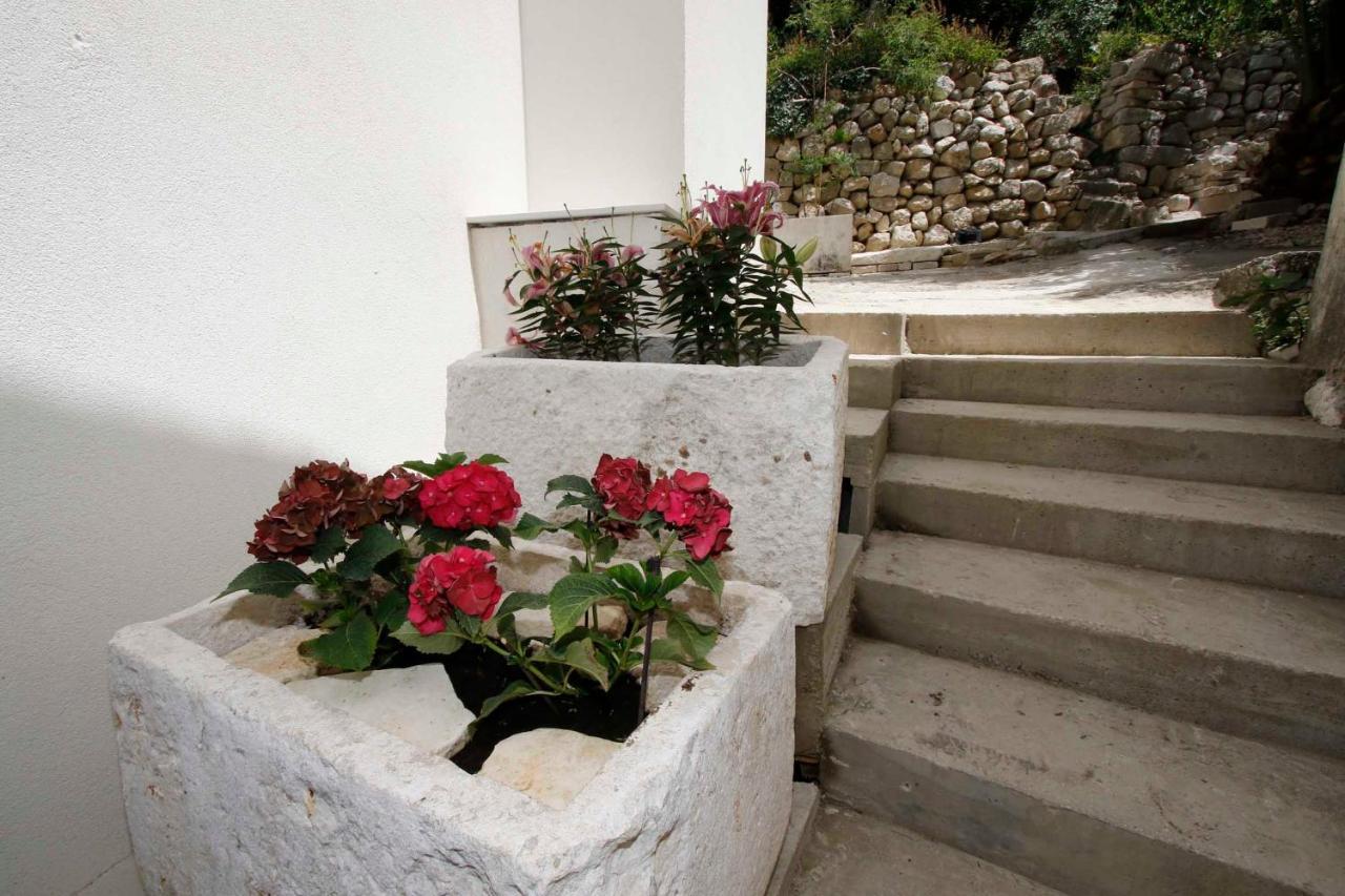 Apartmani Rustica Drasnice Exterior photo
